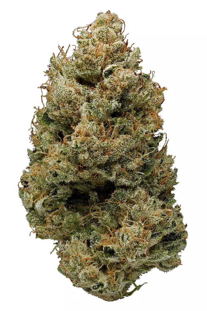 hella jelly strain