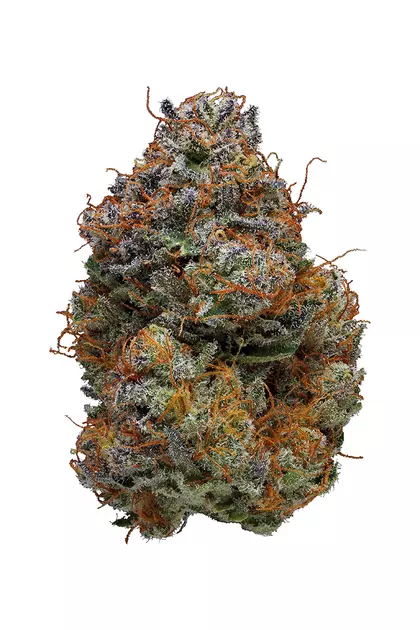 banana daddy strain