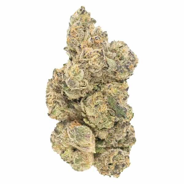 watermelon gelato strain
