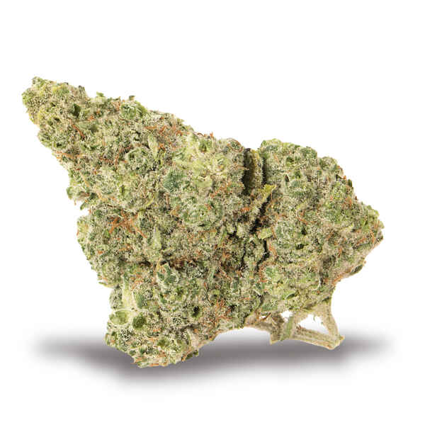 Han Solo Burger strain