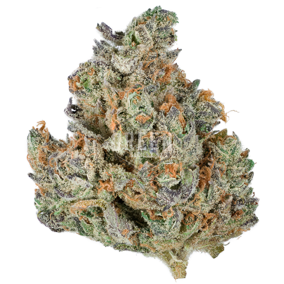 Bermuda Triangle Strain