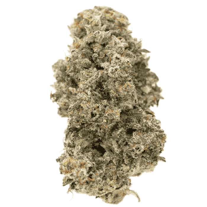 Princess Haze strain