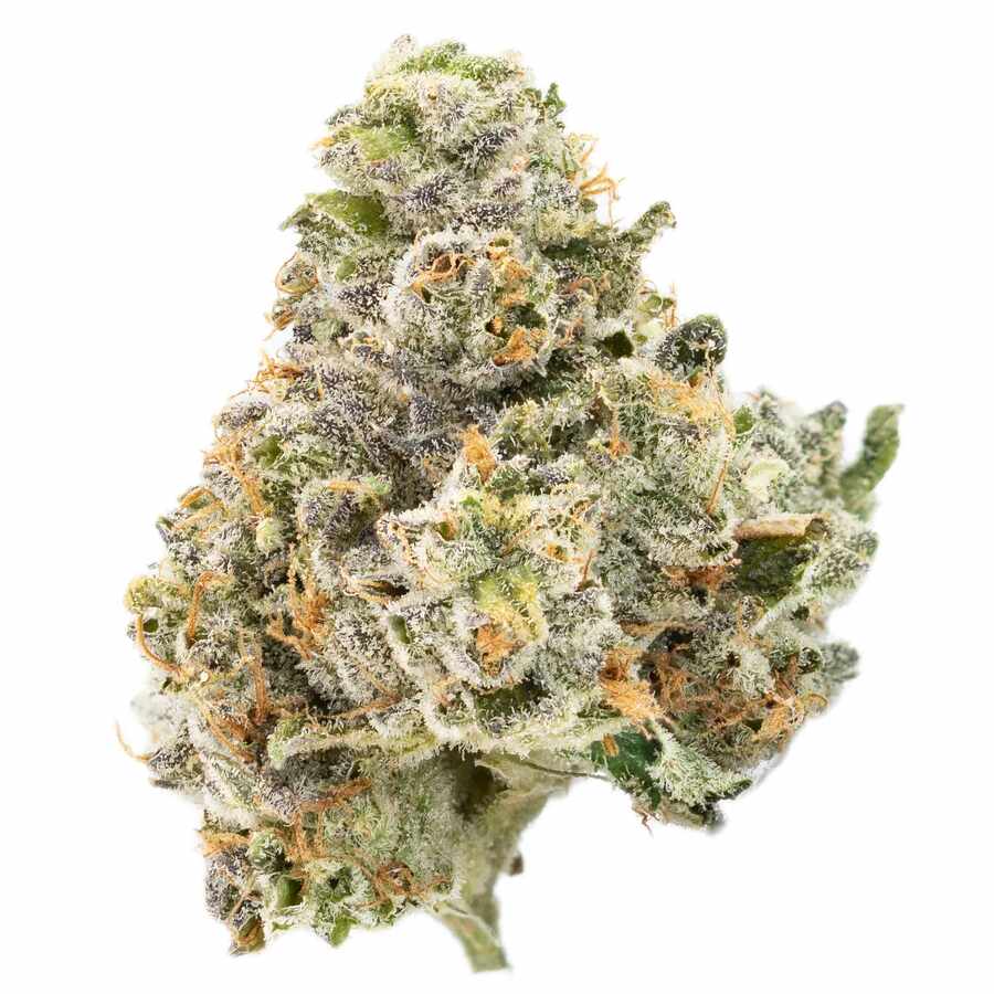 slapz strain