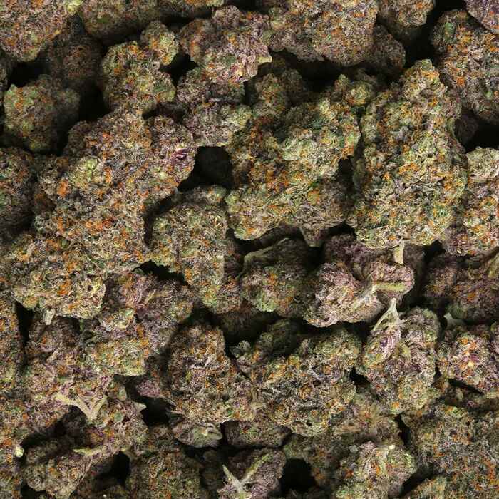 Dosilato strain