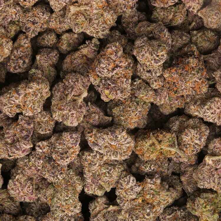 grapes and cream strain
