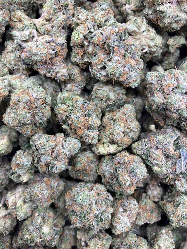 rainbow chip strain