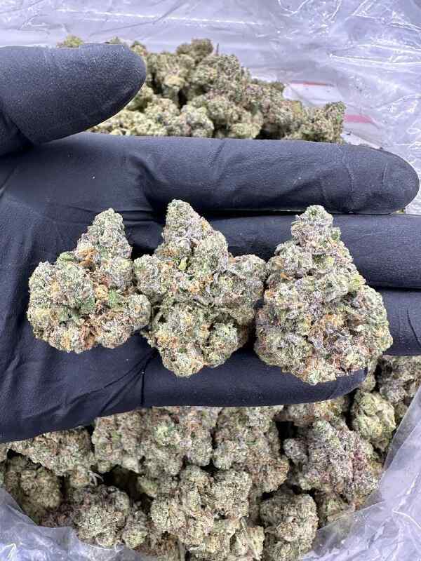garanimals strain