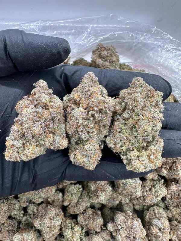 trufflez strain