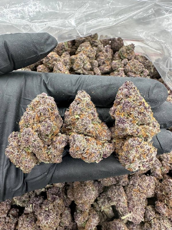 red pop strain