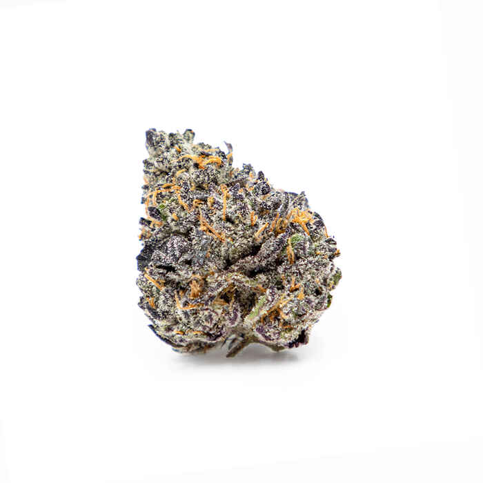 peach crescendo strain