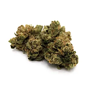 Seaweed #2 | 1/8 oz.
