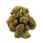 Super Silver Haze | Mini-Buds | 1/4 oz.