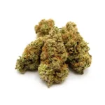 Papaya Cake | 1/8 oz.